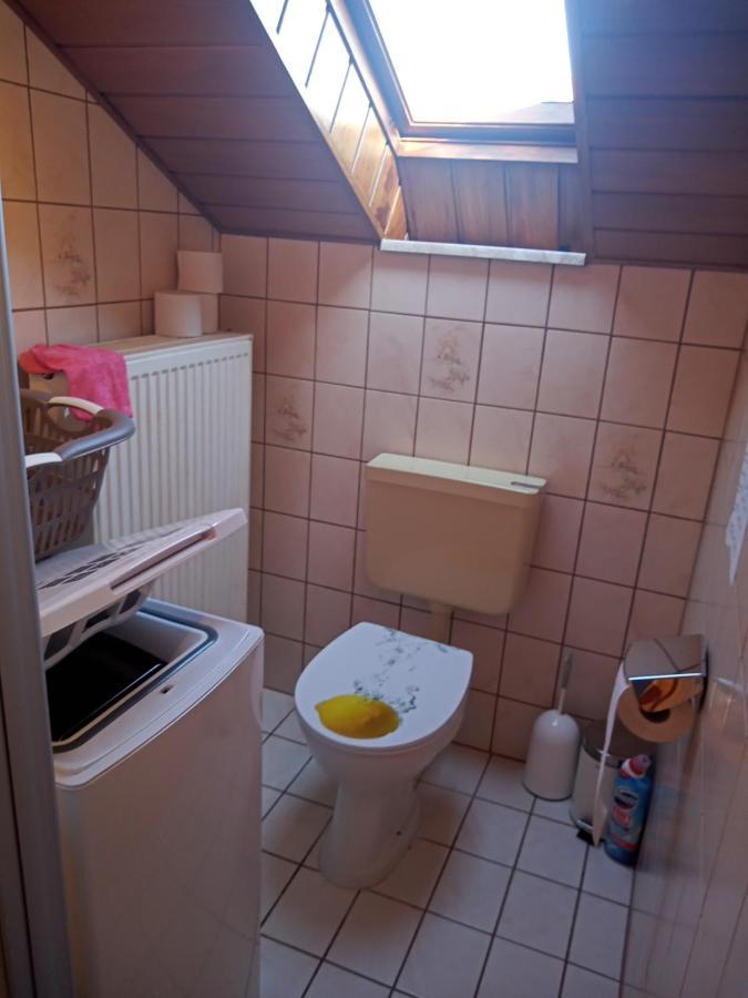Wohnung Mit 2 - 3 Zimmern Ballenberg エクステリア 写真
