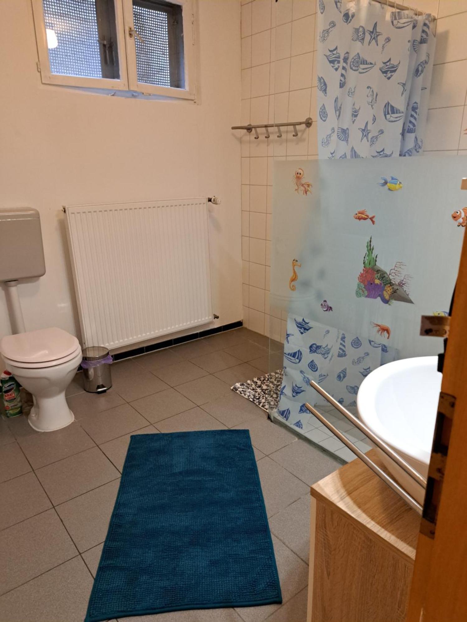 Wohnung Mit 2 - 3 Zimmern Ballenberg エクステリア 写真