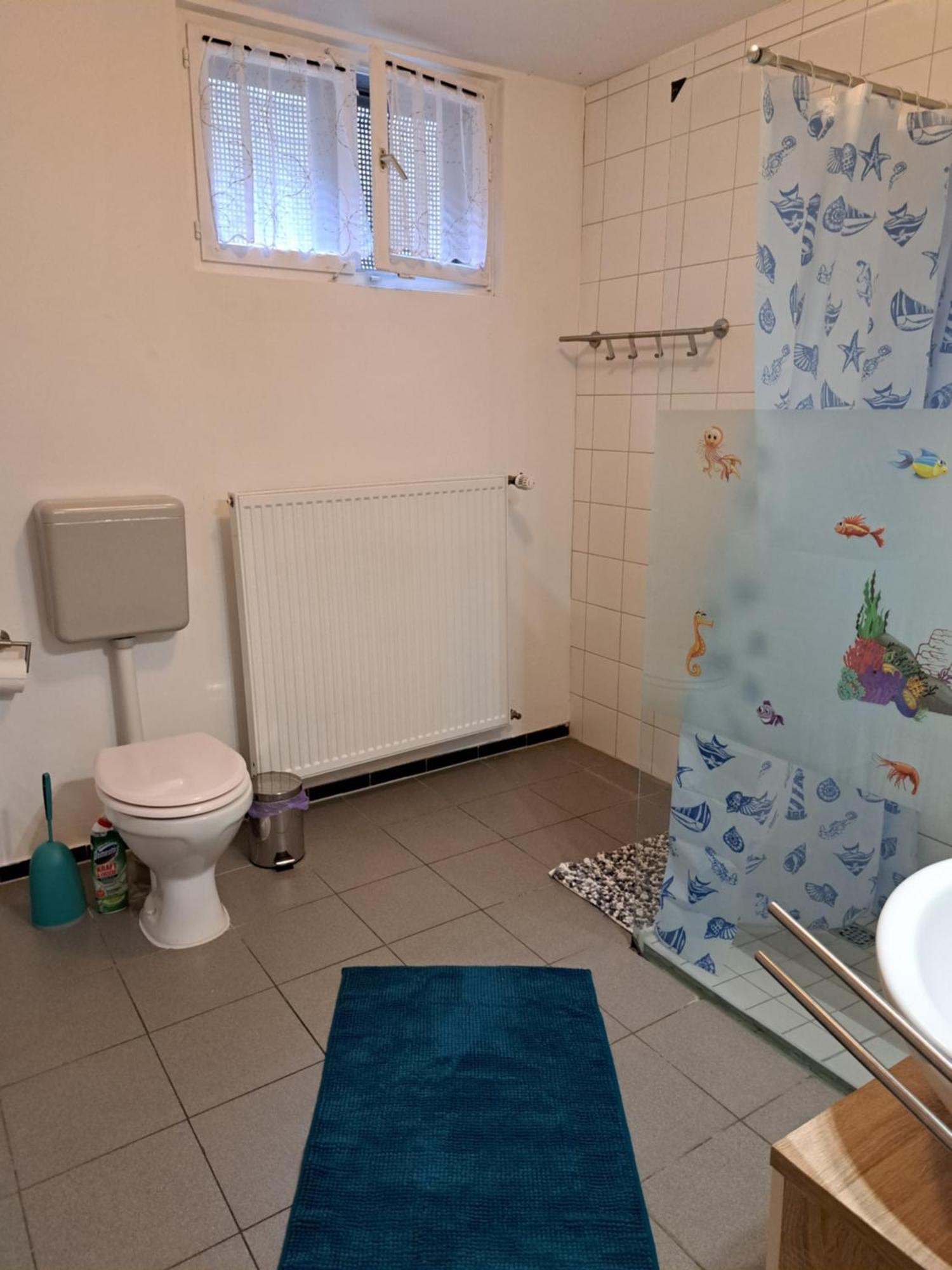 Wohnung Mit 2 - 3 Zimmern Ballenberg エクステリア 写真