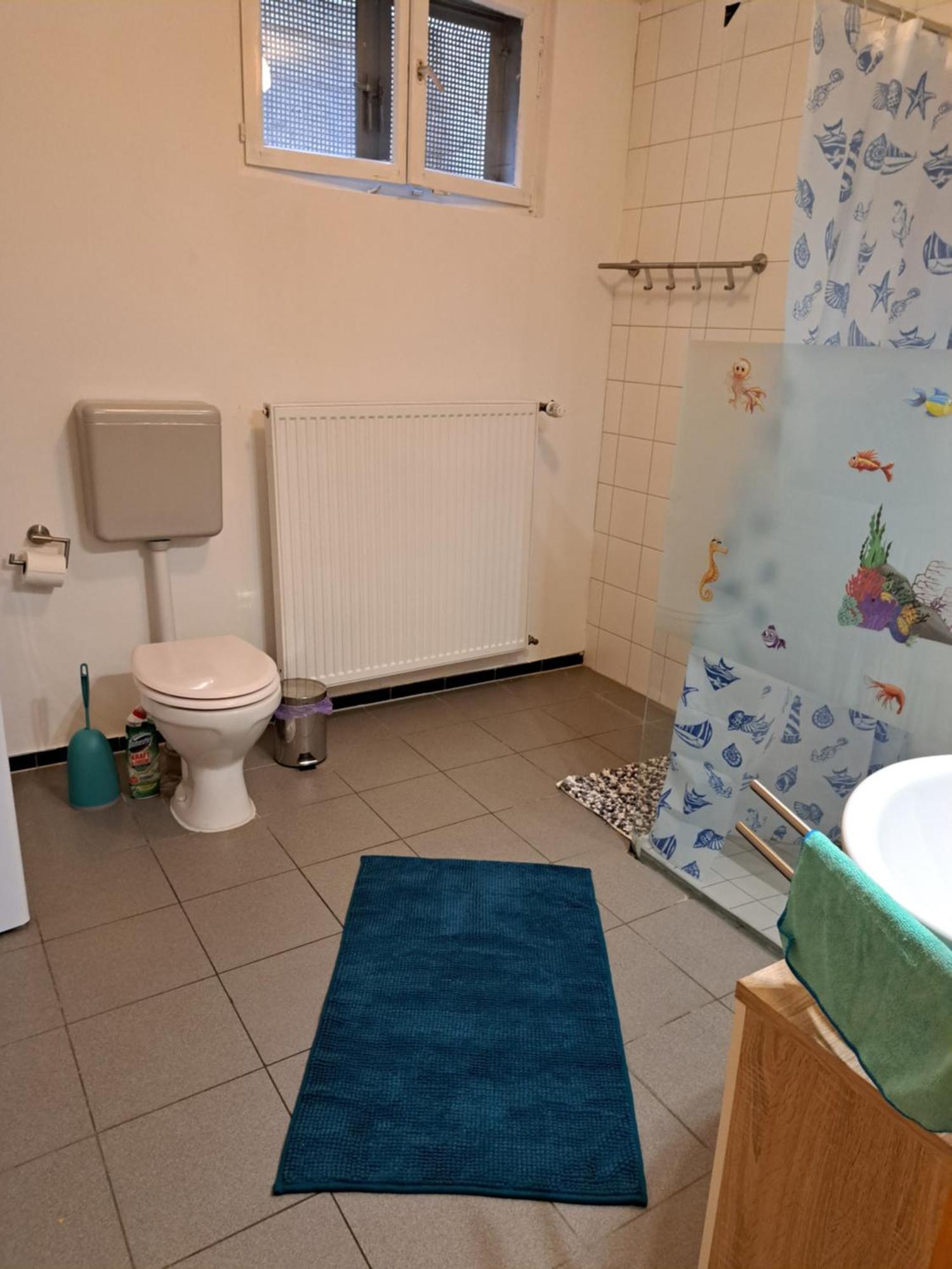 Wohnung Mit 2 - 3 Zimmern Ballenberg エクステリア 写真